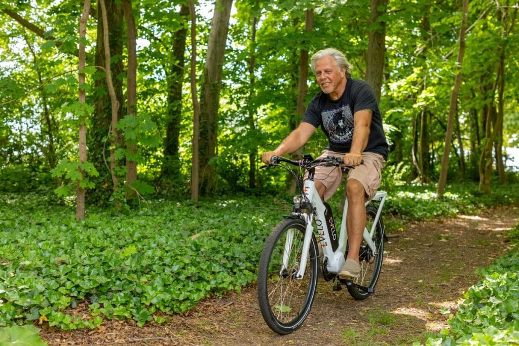bicicleta electrica bosque natural Bicicleta eléctrica en bosque natural