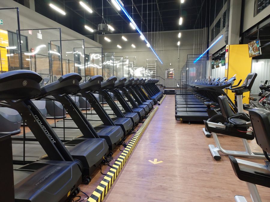 Caminadoras para gimnasio moderno