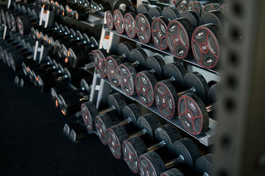 mancuernas entrenamiento fitness 1 Mancuernas para entrenamiento fitness