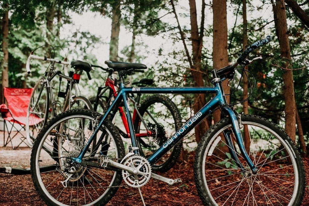 bicicletas montana bosque Bicicletas de montaña en bosque